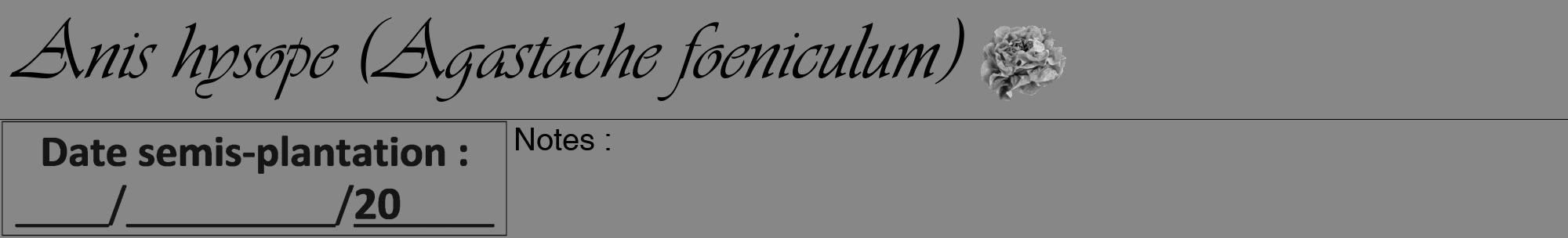 Étiquette de : Agastache foeniculum - format a - style noire12viv avec comestibilité simplifiée