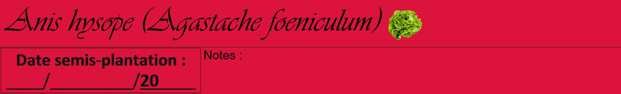 Étiquette de : Agastache foeniculum - format a - style noire36viv avec comestibilité simplifiée