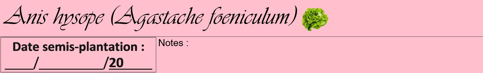 Étiquette de : Agastache foeniculum - format a - style noire40viv avec comestibilité simplifiée