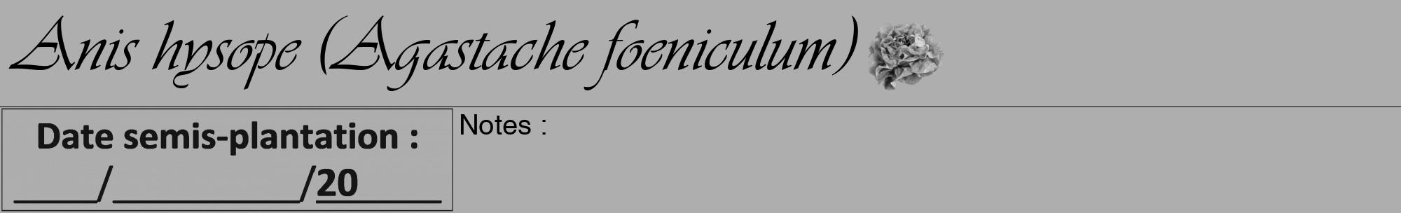 Étiquette de : Agastache foeniculum - format a - style noire53viv avec comestibilité simplifiée
