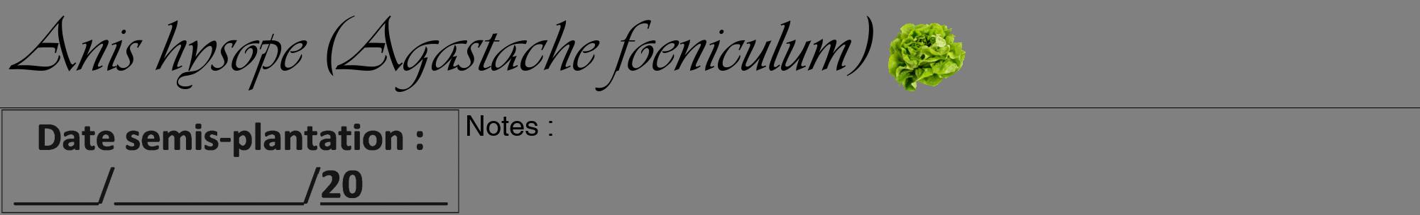 Étiquette de : Agastache foeniculum - format a - style noire57viv avec comestibilité simplifiée