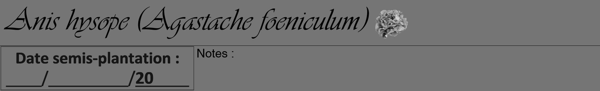 Étiquette de : Agastache foeniculum - format a - style noire5viv avec comestibilité simplifiée