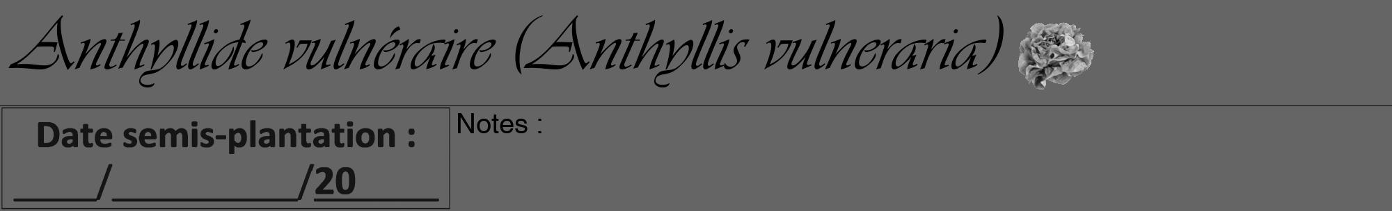 Étiquette de : Anthyllis vulneraria - format a - style noire32viv avec comestibilité simplifiée