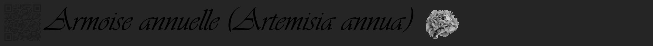 Étiquette de : Artemisia annua - format a - style noire47viv avec qrcode et comestibilité simplifiée