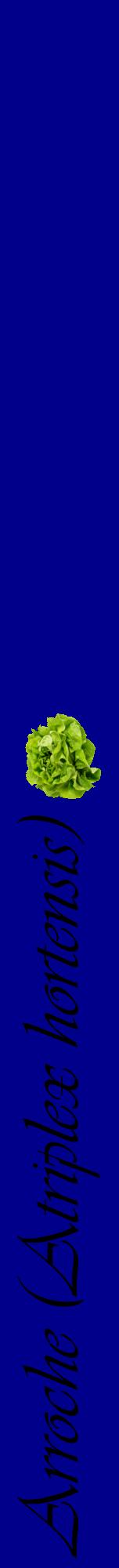 Étiquette de : Atriplex hortensis - format a - style noire7viv avec comestibilité simplifiée