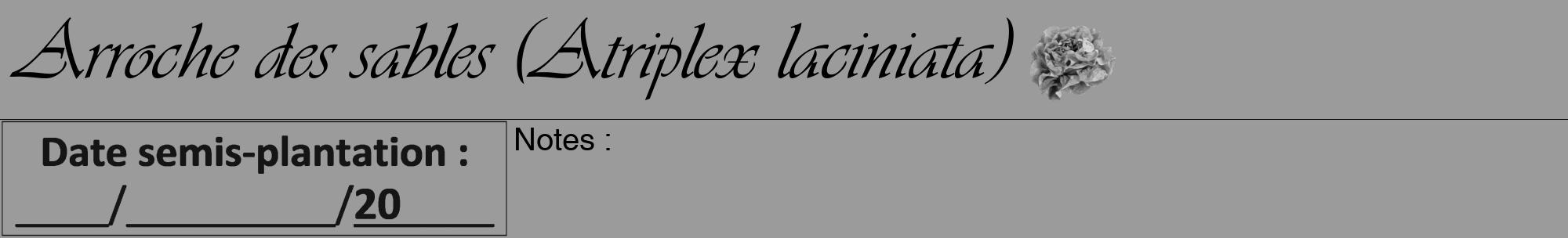 Étiquette de : Atriplex laciniata - format a - style noire52viv avec comestibilité simplifiée