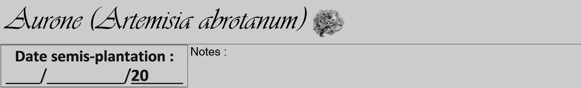 Étiquette de : Artemisia abrotanum - format a - style noire0viv avec comestibilité simplifiée