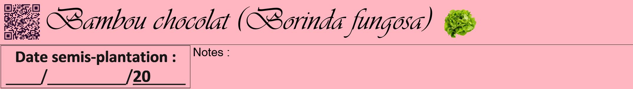 Étiquette de : Borinda fungosa - format a - style noire41viv avec qrcode et comestibilité simplifiée
