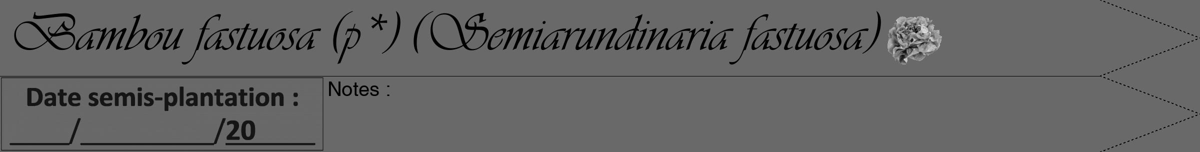 Étiquette de : Semiarundinaria fastuosa - format a - style noire11simpleviv avec comestibilité simplifiée