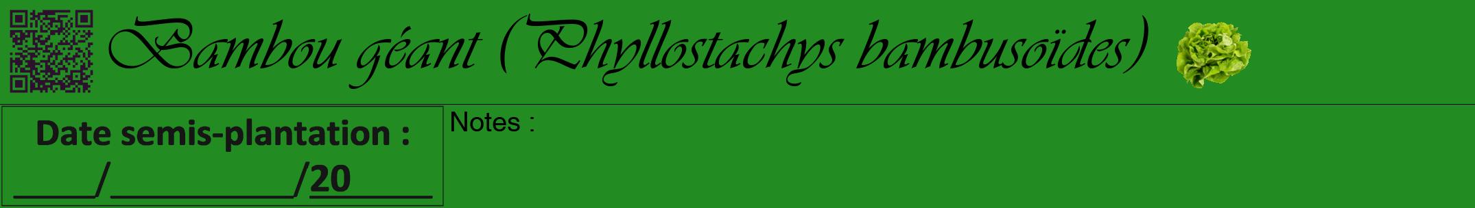 Étiquette de : Phyllostachys bambusoïdes - format a - style noire10viv avec qrcode et comestibilité simplifiée