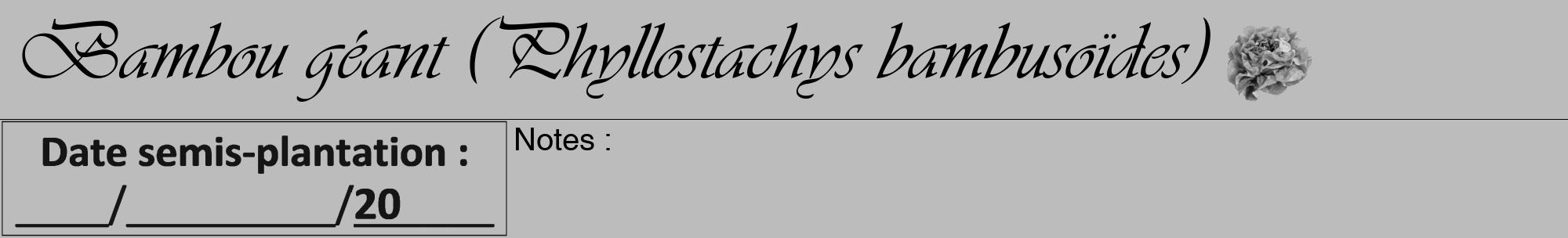 Étiquette de : Phyllostachys bambusoïdes - format a - style noire1viv avec comestibilité simplifiée