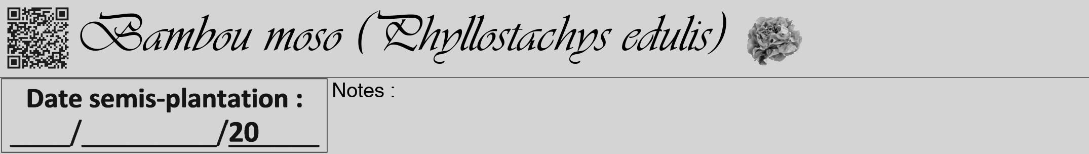 Étiquette de : Phyllostachys edulis - format a - style noire40simpleviv avec qrcode et comestibilité simplifiée
