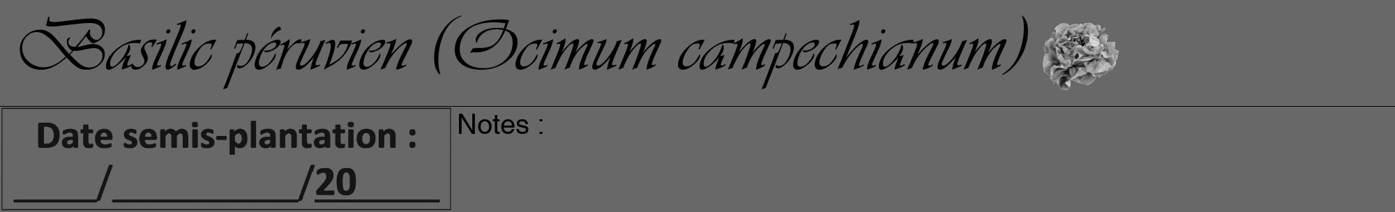Étiquette de : Ocimum campechianum - format a - style noire43viv avec comestibilité simplifiée