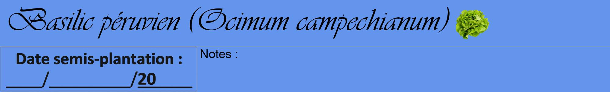 Étiquette de : Ocimum campechianum - format a - style noire4viv avec comestibilité simplifiée