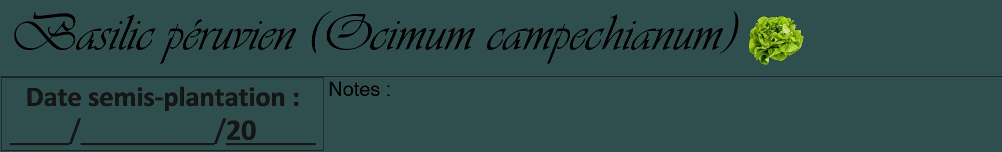 Étiquette de : Ocimum campechianum - format a - style noire58viv avec comestibilité simplifiée