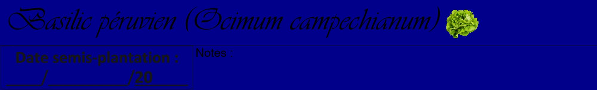 Étiquette de : Ocimum campechianum - format a - style noire7viv avec comestibilité simplifiée