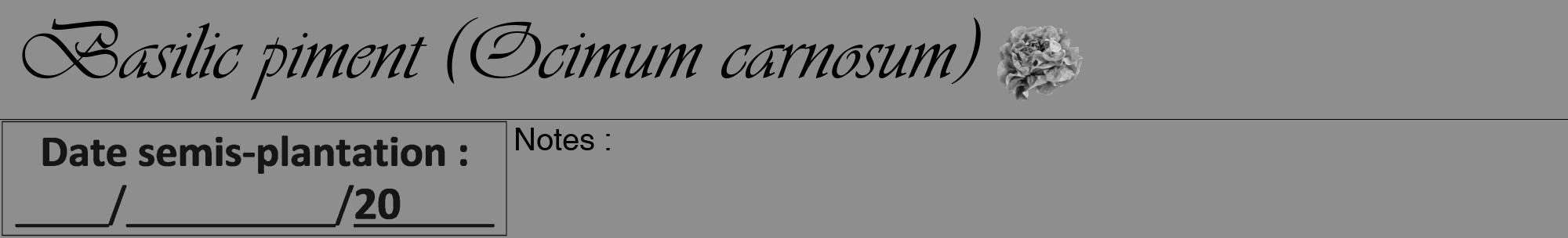 Étiquette de : Ocimum carnosum - format a - style noire25viv avec comestibilité simplifiée