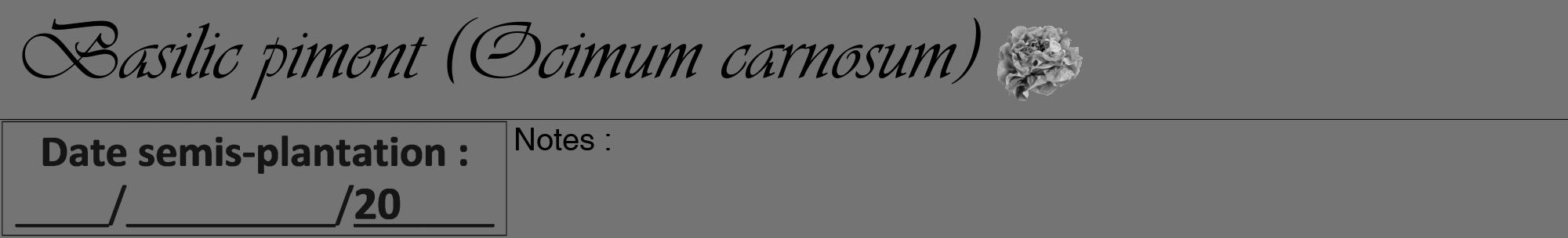 Étiquette de : Ocimum carnosum - format a - style noire26viv avec comestibilité simplifiée