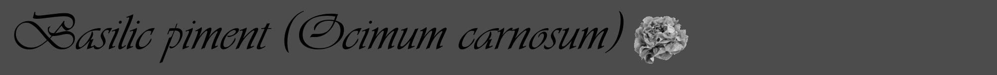 Étiquette de : Ocimum carnosum - format a - style noire27viv avec comestibilité simplifiée