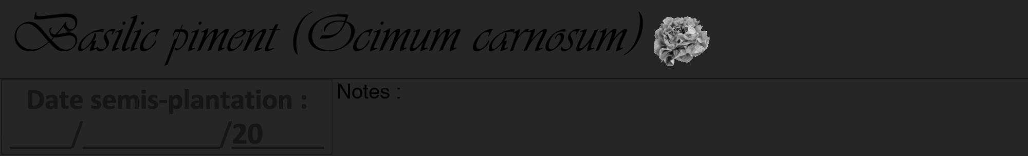 Étiquette de : Ocimum carnosum - format a - style noire29viv avec comestibilité simplifiée