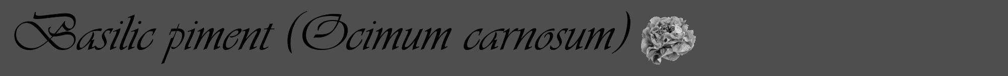 Étiquette de : Ocimum carnosum - format a - style noire33viv avec comestibilité simplifiée