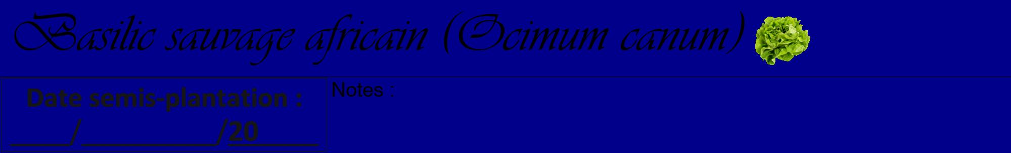 Étiquette de : Ocimum canum - format a - style noire7viv avec comestibilité simplifiée