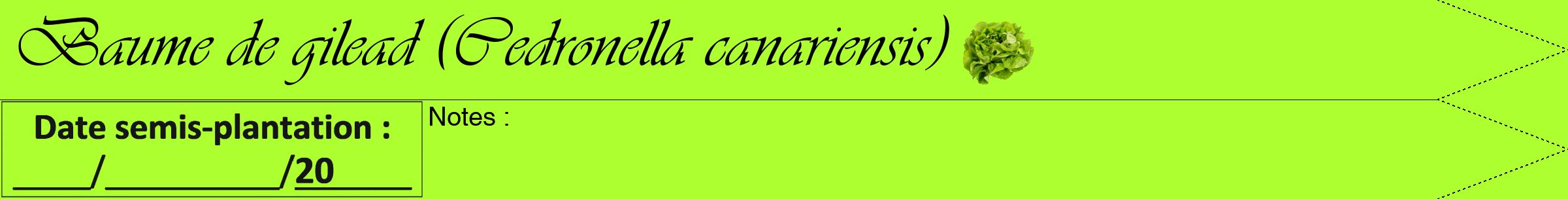 Étiquette de : Cedronella canariensis - format a - style noire17simpleviv avec comestibilité simplifiée