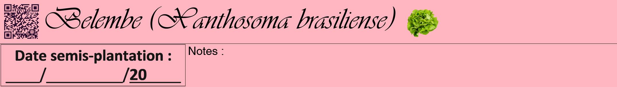 Étiquette de : Xanthosoma brasiliense - format a - style noire41viv avec qrcode et comestibilité simplifiée