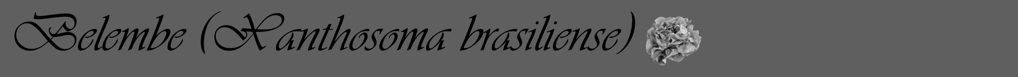 Étiquette de : Xanthosoma brasiliense - format a - style noire10viv avec comestibilité simplifiée