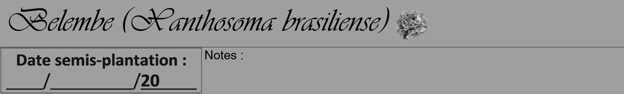 Étiquette de : Xanthosoma brasiliense - format a - style noire24viv avec comestibilité simplifiée