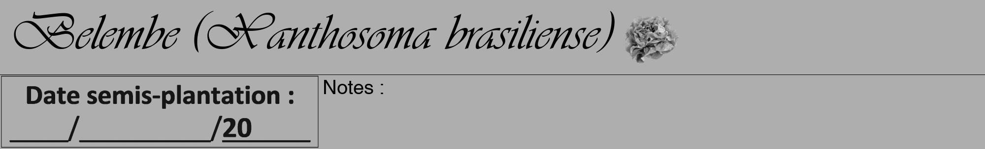 Étiquette de : Xanthosoma brasiliense - format a - style noire53viv avec comestibilité simplifiée