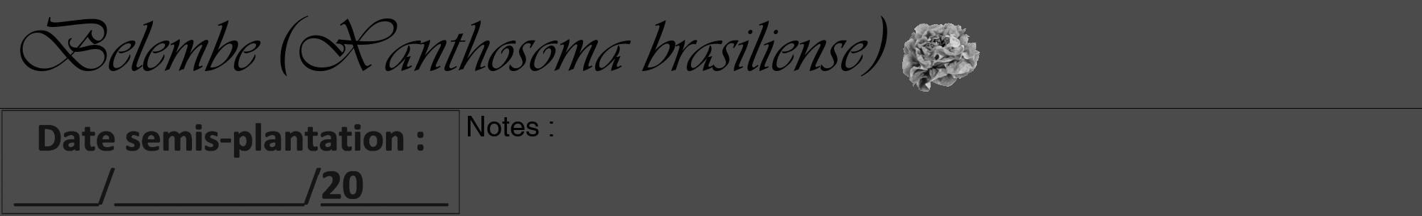Étiquette de : Xanthosoma brasiliense - format a - style noire9viv avec comestibilité simplifiée