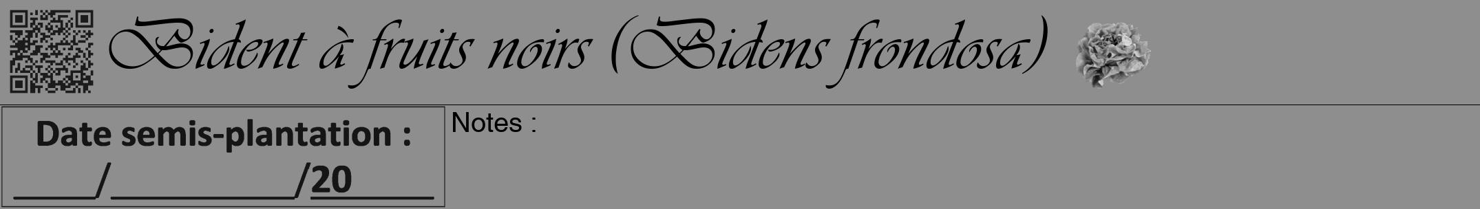 Étiquette de : Bidens frondosa - format a - style noire25simpleviv avec qrcode et comestibilité simplifiée