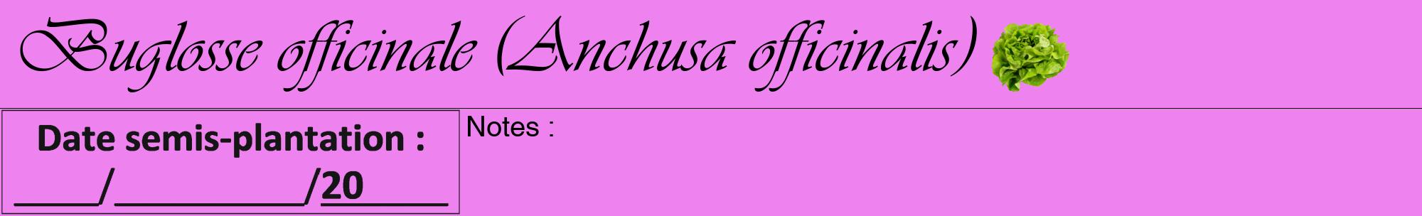 Étiquette de : Anchusa officinalis - format a - style noire53viv avec comestibilité simplifiée