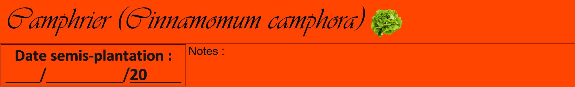 Étiquette de : Cinnamomum camphora - format a - style noire26viv avec comestibilité simplifiée