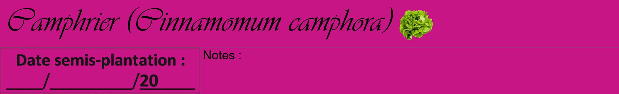Étiquette de : Cinnamomum camphora - format a - style noire45viv avec comestibilité simplifiée