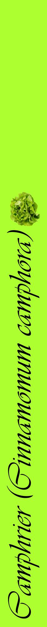 Étiquette de : Cinnamomum camphora - format a - style noire17viv avec comestibilité simplifiée