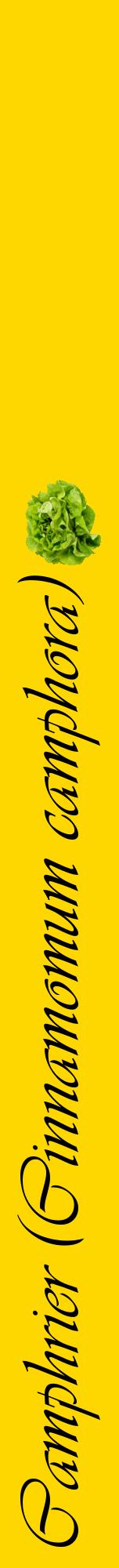 Étiquette de : Cinnamomum camphora - format a - style noire21viv avec comestibilité simplifiée