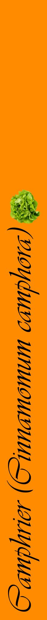 Étiquette de : Cinnamomum camphora - format a - style noire23viv avec comestibilité simplifiée