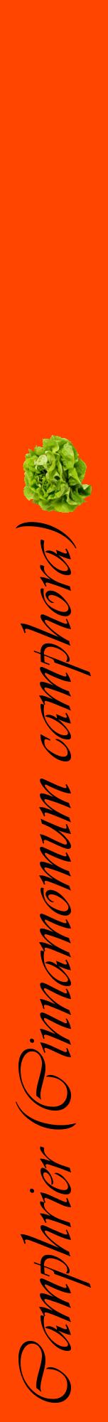 Étiquette de : Cinnamomum camphora - format a - style noire26viv avec comestibilité simplifiée