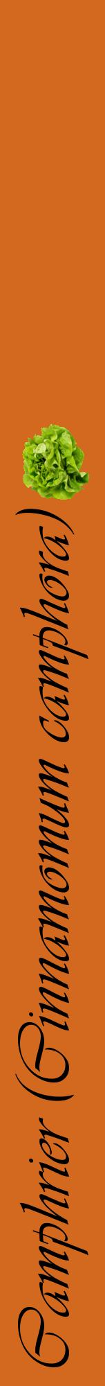Étiquette de : Cinnamomum camphora - format a - style noire31viv avec comestibilité simplifiée