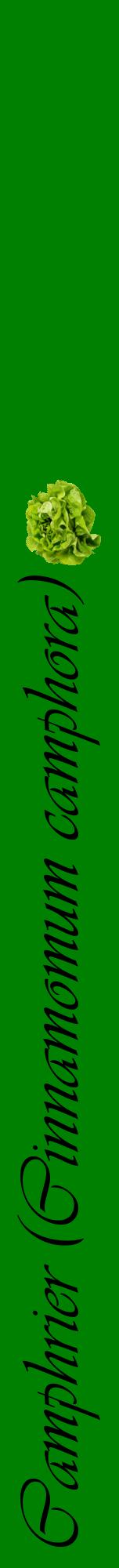 Étiquette de : Cinnamomum camphora - format a - style noire9viv avec comestibilité simplifiée