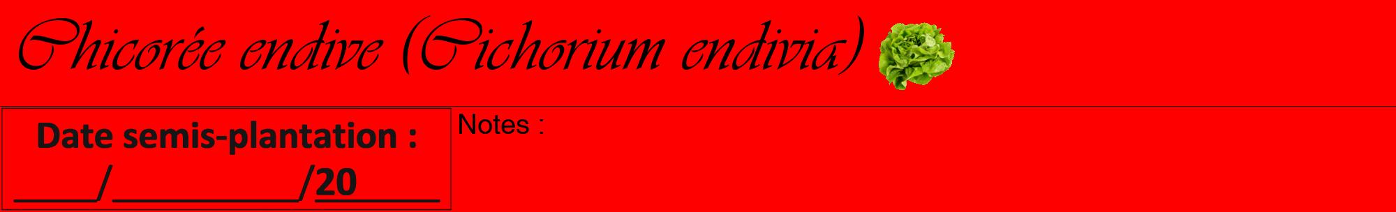 Étiquette de : Cichorium endivia - format a - style noire27viv avec comestibilité simplifiée