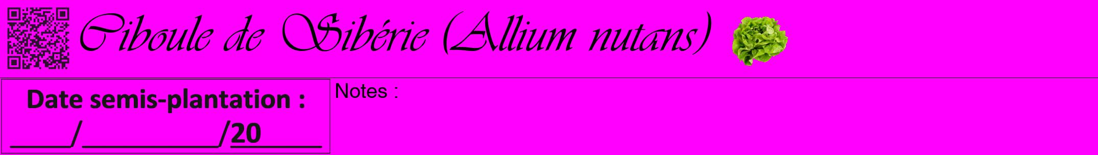 Étiquette de : Allium nutans - format a - style noire51viv avec qrcode et comestibilité simplifiée