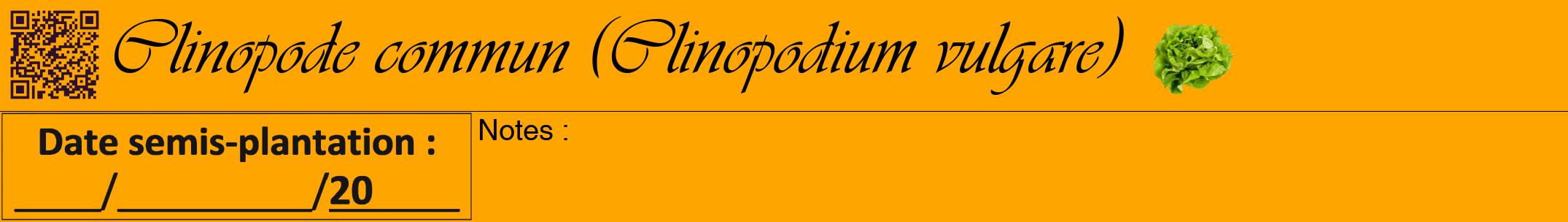 Étiquette de : Clinopodium vulgare - format a - style noire22viv avec qrcode et comestibilité simplifiée