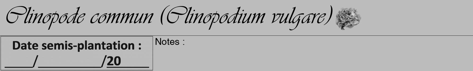 Étiquette de : Clinopodium vulgare - format a - style noire1viv avec comestibilité simplifiée