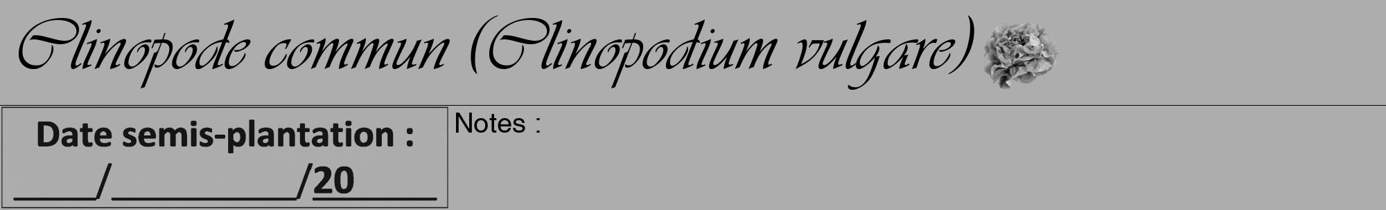 Étiquette de : Clinopodium vulgare - format a - style noire22viv avec comestibilité simplifiée