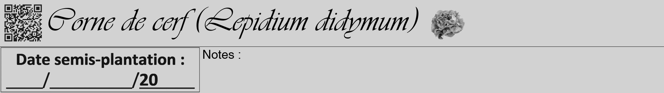 Étiquette de : Lepidium didymum - format a - style noire14viv avec qrcode et comestibilité simplifiée