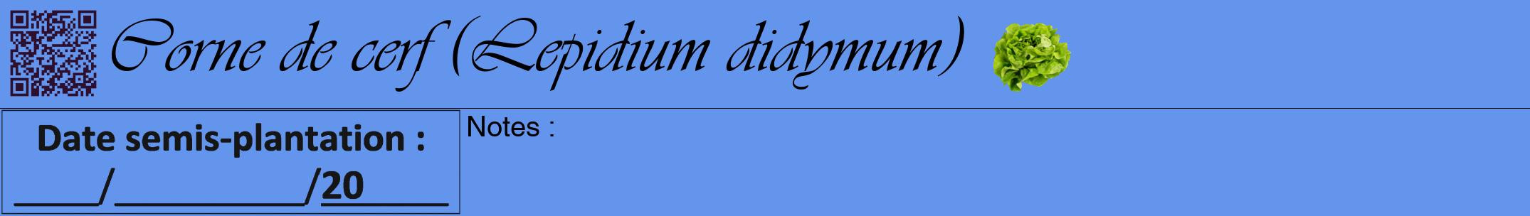 Étiquette de : Lepidium didymum - format a - style noire4viv avec qrcode et comestibilité simplifiée