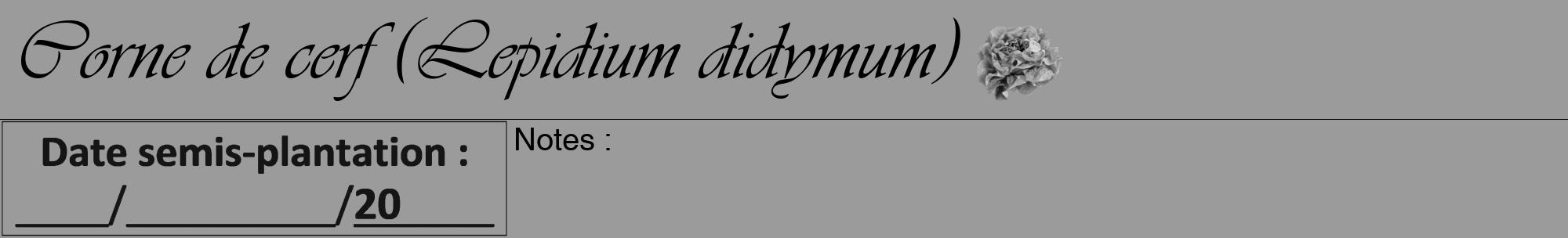 Étiquette de : Lepidium didymum - format a - style noire52viv avec comestibilité simplifiée